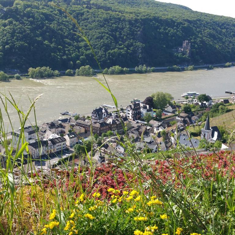 Eismauer Suite Rüdesheim am Rhein Exterior foto